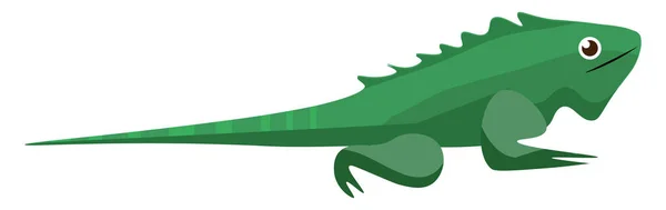 Un iguane vert rampant / iguane iguane iguane / reptile sauvage vecteur ou co — Image vectorielle
