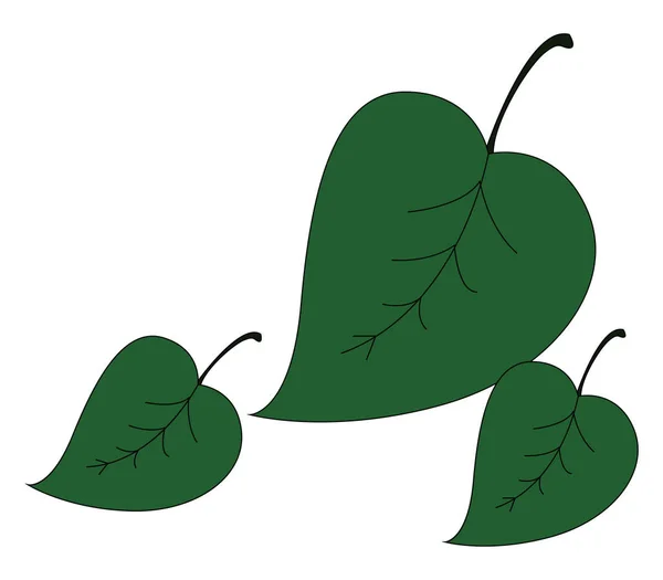 Icono de hojas / Tres vectores de hojas en forma de deltoides o ilustraciones en color — Vector de stock