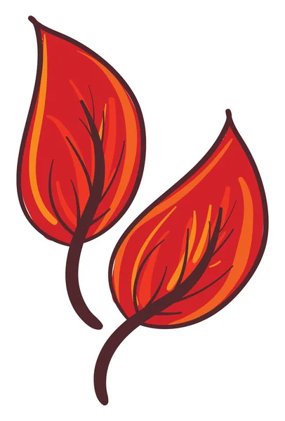Cliparts von zwei orangefarbenen Blättern Vektor oder Farbillustratio — Stockvektor