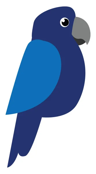 可爱的小卡通蓝色鹦鹉矢量或颜色插图 — 图库矢量图片