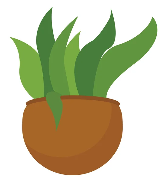 Clipart de uma planta verde potted em um vetor marrom do potenciômetro da terra ou — Vetor de Stock