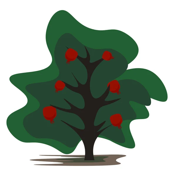 Cartoon pomegranate tree vector or color illustration — Stock Vector