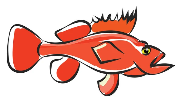 Clipart di arancio colorato pesce marino branzino vettore o colore i — Vettoriale Stock
