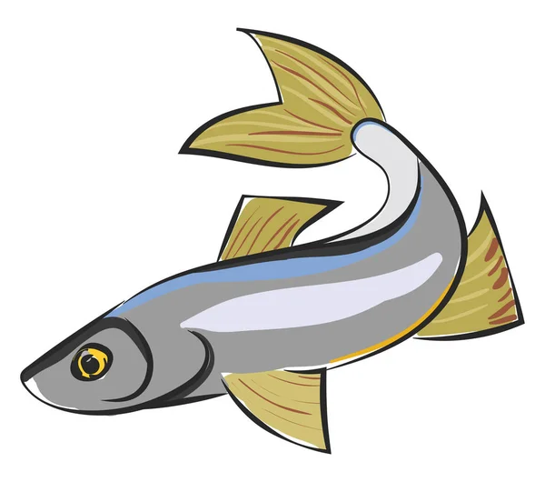 Clipart of a sig fish vector or color illustration — Stock Vector