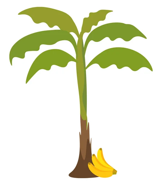 Banana Tree Isolatedストックベクター ロイヤリティフリーbanana Tree Isolatedイラスト ページ 6 Depositphotos Banana Tree Isolatedストックベクター ロイヤリティフリーbanana Tree Isolatedイラスト ページ 6 Depositphotos