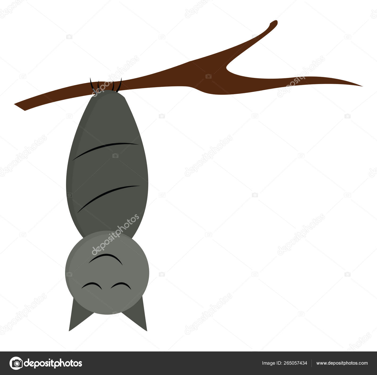 Featured image of post Bat Hanging Upside Down Drawing Easy Suitable for promotional videos online marketing tv content or other media platform