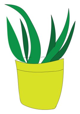 Beyaz sırt bir pot illüstrasyon vektör uzun yeşil yaprak bitki