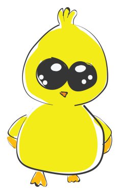 Genç piliç vektörü veya renk çizimi