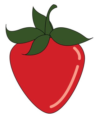 Kırmızı çilek vektörü veya renk illüstrasyonu