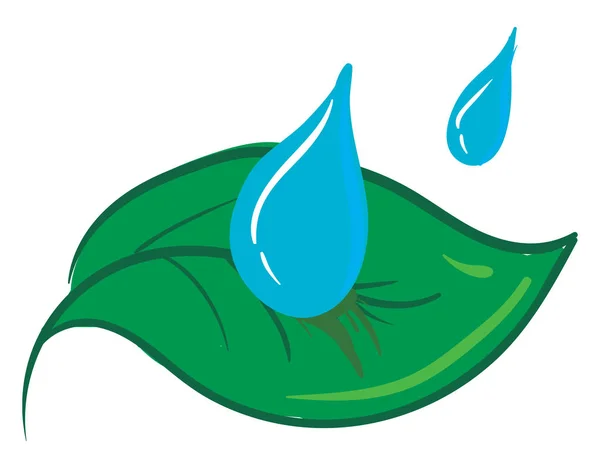 Clipart dwóch kropli wody spada na wektor zielony liść lub Col — Wektor stockowy