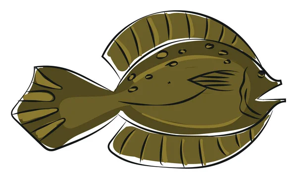 Clipart de um peixe de linguado de inverno / Pseudopleuronectes americanus — Vetor de Stock