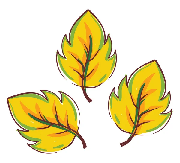 Clipart of yellow autumn leaves vector or color illustration — Stock Vector