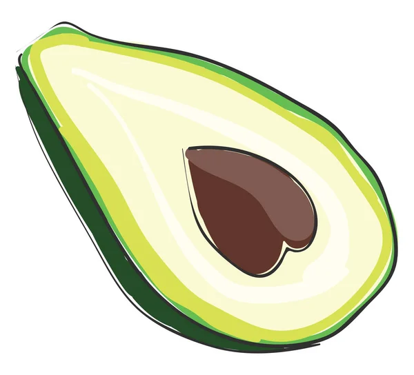 Gesneden avocado vector of kleur illustratie — Stockvector