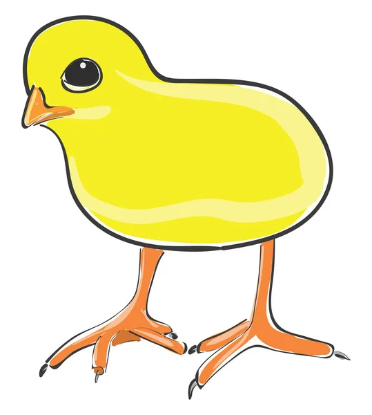 Mignon vecteur de poulet ou illustration couleur — Image vectorielle