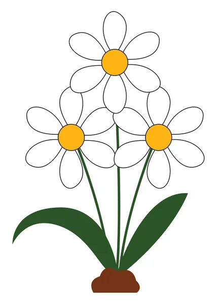 Beautiful daisies vector or color illustration — Stock Vector