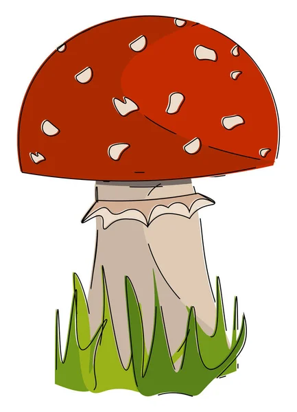 Agarico fungo vettore o illustrazione a colori — Vettoriale Stock