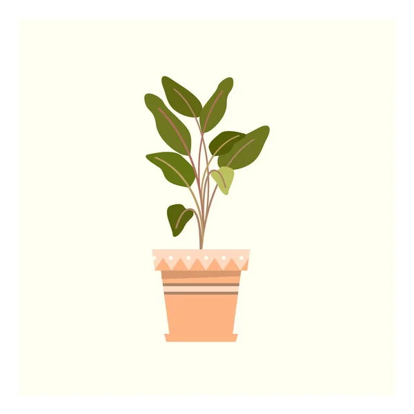 Ein kleiner grüner Pflanzenvektor oder Farbabbildung — Stockvektor