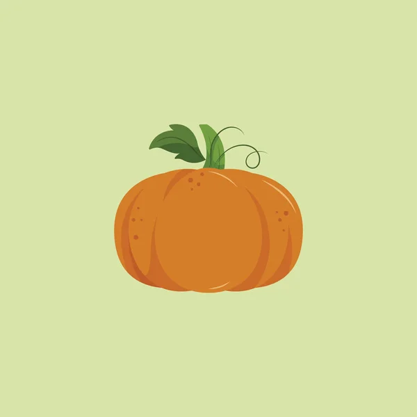 Un vector de calabaza fresca o ilustración de color — Vector de stock