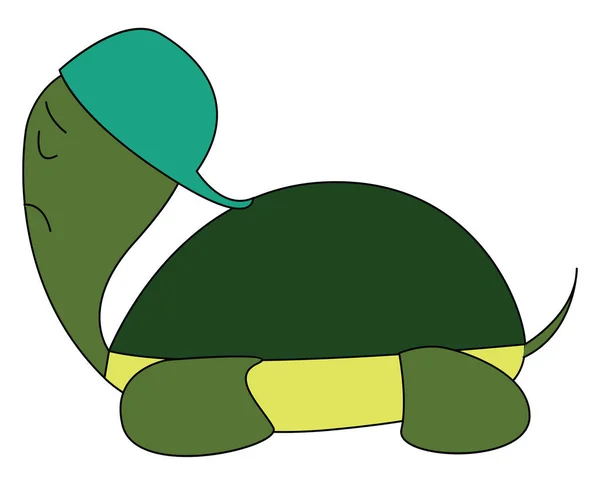 Turtle in cap vector or color illustration — Stock Vector