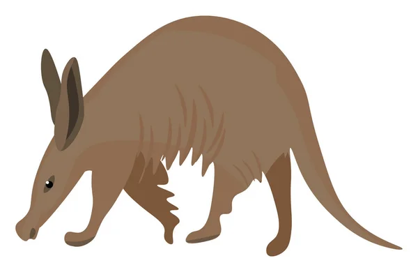 Pintura do aardvark marrom isolado na vista de fundo branco — Vetor de Stock