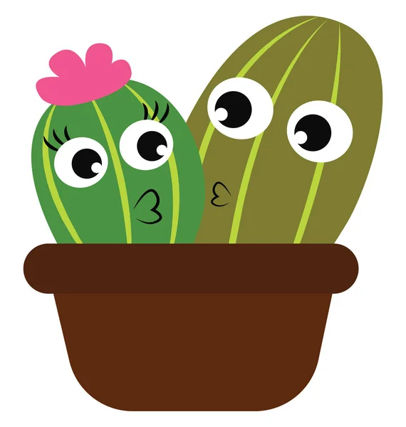 Niño y niña plantas de cactus en un vector de maceta marrón o color — Archivo Imágenes Vectoriales