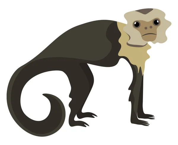 Dibujo de un mono capuchino marrón montado sobre un fondo blanco aislado — Vector de stock