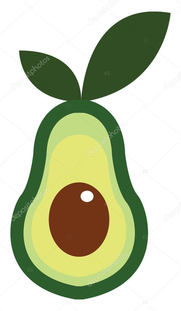 A Half Cut Large Berry Green Skinned Avocado Fruit With Two Green Leaves Has A Pear Shaped Fleshy Body And Contains A Single Large Brown Seed Vector Color Drawing Or Illustration Premium Vector In A Half Cut Large Berry Green Skinned Avocado Fruit With Two Green Leaves Has A Pear Shaped Fleshy Body And Contains A Single Large Brown Seed Vector Color Drawing Or Illustration Premium Vector In