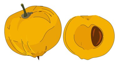 Karikatür sarı yumurta meyve vektör veya renk illüstrasyon