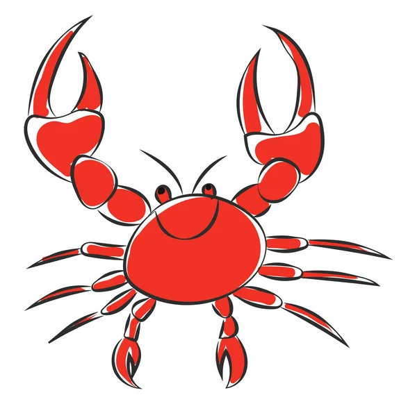 Portrait of a red crab vector or color illustration — Stock Vector
