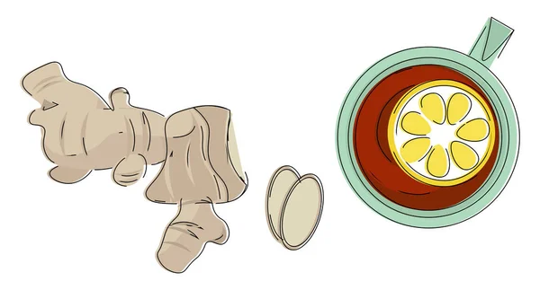 几块生姜和一杯柠檬茶载体或剪贴画 — 图库矢量图片