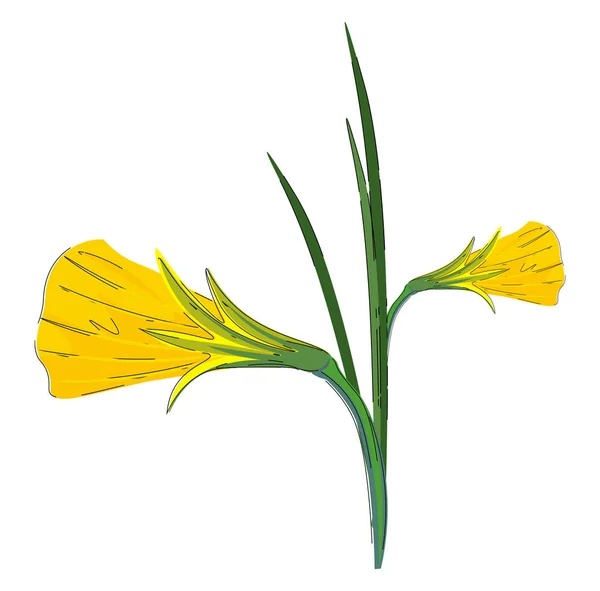 Cliparts einer Pflanze mit Blüten, die als Vektor goldener Glocken blühen — Stockvektor
