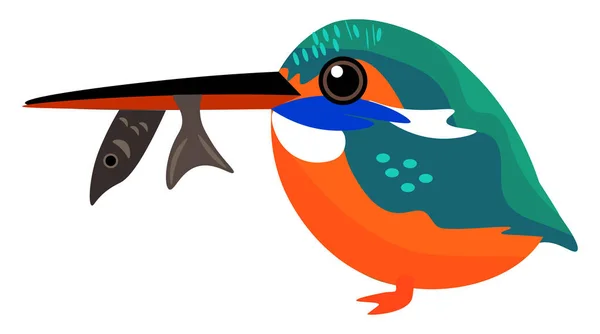 Painting of a colorful kingfisher with a fish trapped in its bea — Stock Vector