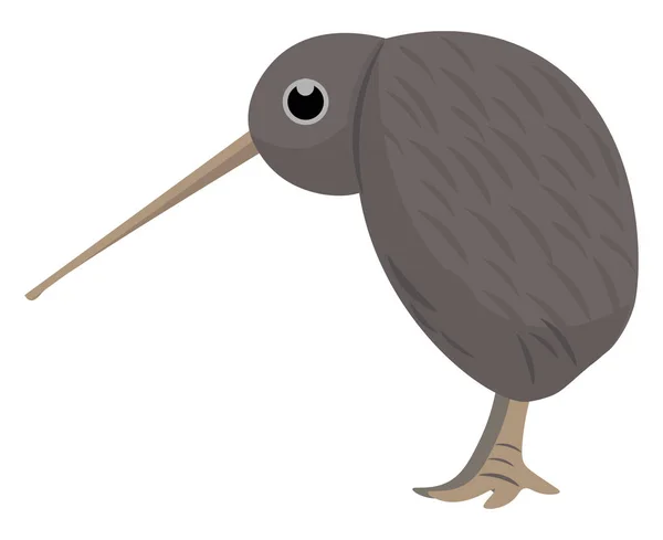 Clipart del ave marrón kiwi sobre fondo blanco aislado — Vector de stock