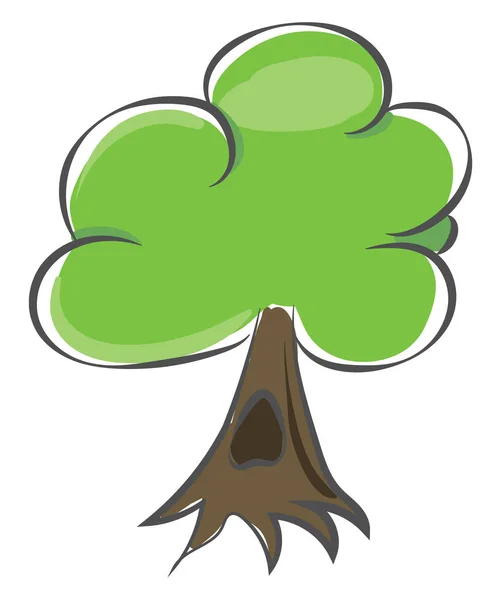 Disegno di un albero / Vettore vegetale perenne legnoso o illustrazione a colori — Vettoriale Stock