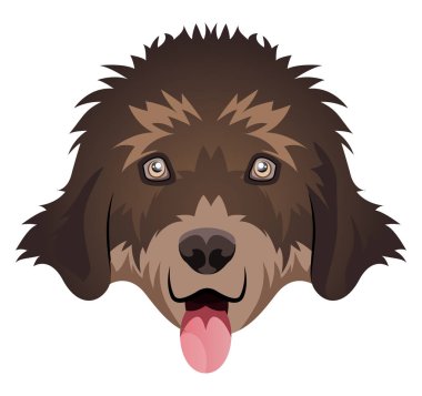 Beyaz arka plan üzerinde Yeni Bulunan Arazi illüstrasyon vektörü