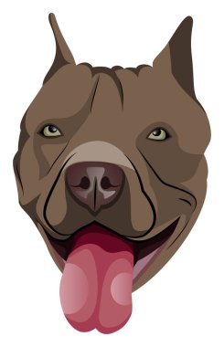 Beyaz arka planda Pitbull illüstrasyon vektörü