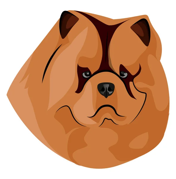 Fett chow chow Illustration Vektor auf weißem Hintergrund — Stockvektor