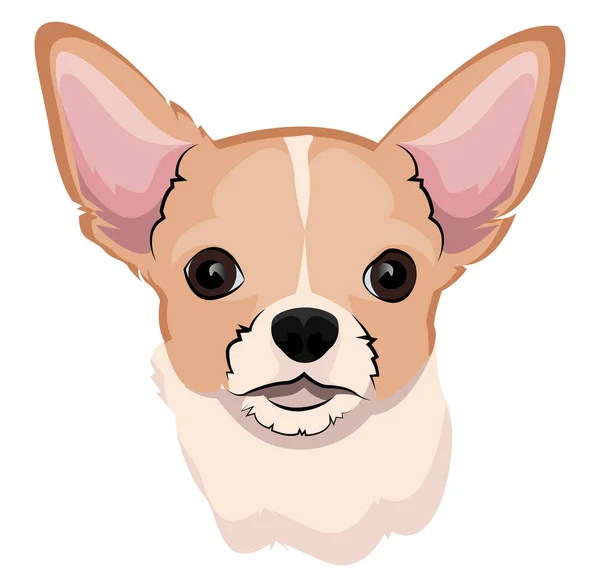Chihuahua-Illustrationsvektor auf weißem Hintergrund — Stockvektor