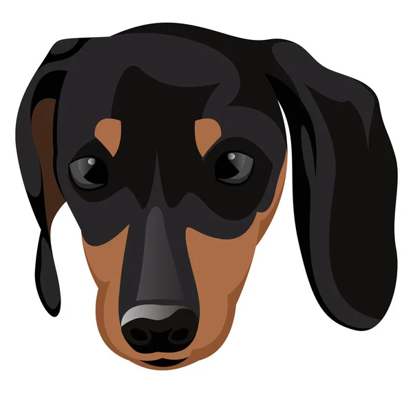 Kis Doberman illusztrációs vektor fehér alapon — Stock Vector