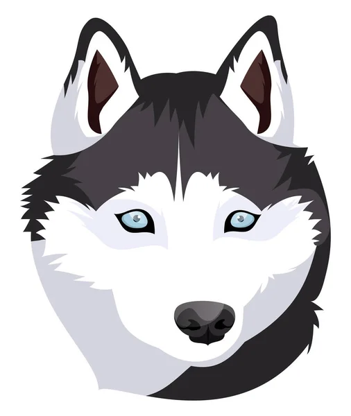 Vektor ilustrasi Husky Siberia pada latar belakang putih - Stok Vektor