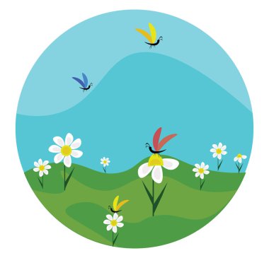 Güzel papatya alanı , vektör veya renk illüstrasyon