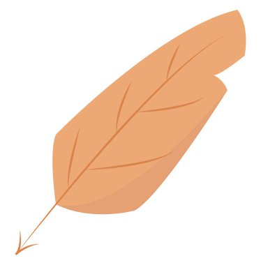 Yumuşak tüy , vektör veya renk çizimi