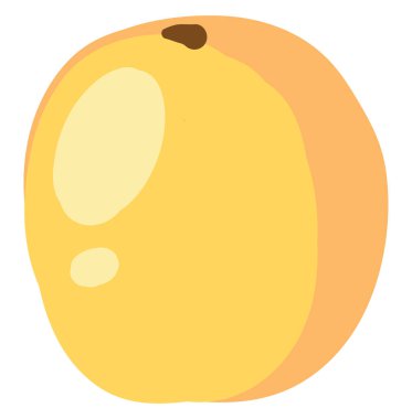 Düz kayısı , vektör veya renk illüstrasyon