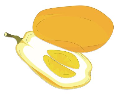 Dilimlenmiş citron , vektör veya renk illüstrasyon