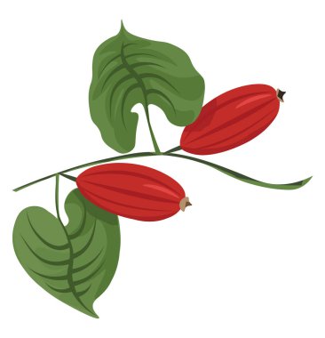 İki palmiye gibi yeşil yaprakları ile iki kırmızı salatalık Clipart, ve