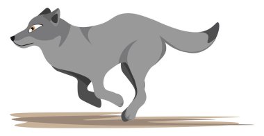 Drawing of a running wolf, vector or color illustration clipart