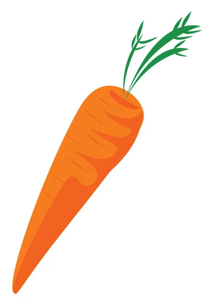 Zanahoria dibujado a mano diseño, ilustración, vector en el fondo blanco — Vector de stock