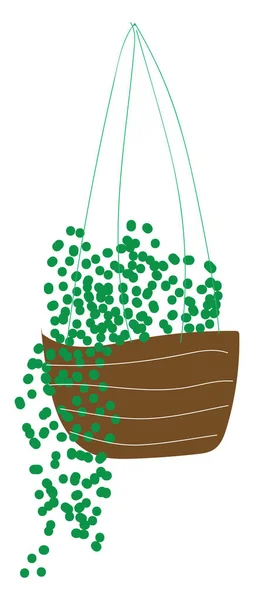 화냄비에 매달려 있는 녹색 식물, 일러스트레이션, 벡터 에 — 스톡 벡터