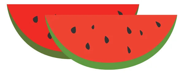 Wassermelone, Illustration, Vektor auf weißem Hintergrund. — Stockvektor