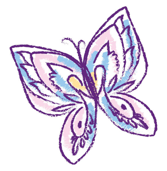 Drawing of a cute butterfly , vector or color illustration